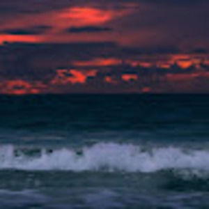 Meet your Posher, Simone